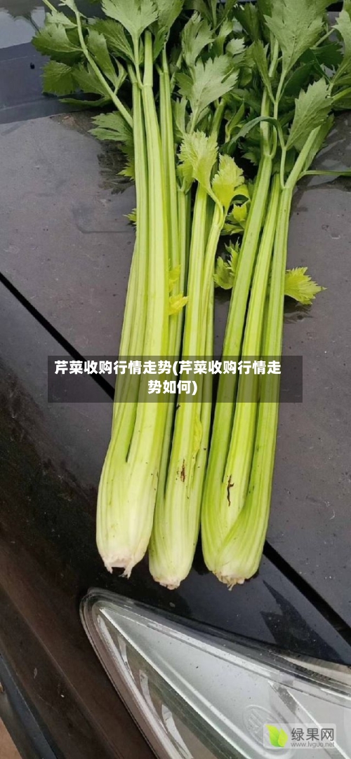 芹菜收购行情走势(芹菜收购行情走势如何)