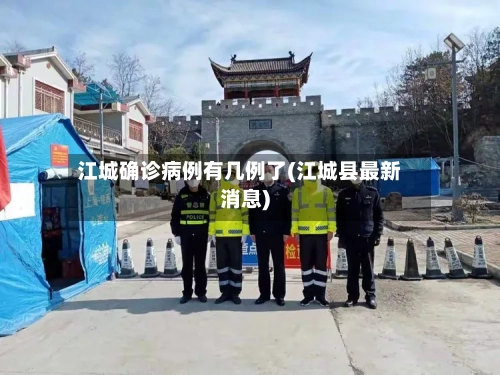 江城确诊病例有几例了(江城县最新消息)