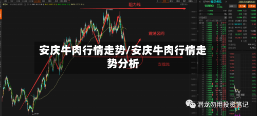 安庆牛肉行情走势/安庆牛肉行情走势分析-第2张图片