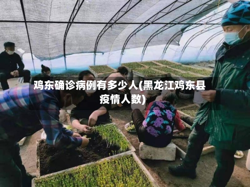 鸡东确诊病例有多少人(黑龙江鸡东县疫情人数)-第3张图片