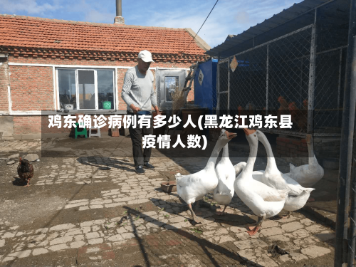 鸡东确诊病例有多少人(黑龙江鸡东县疫情人数)