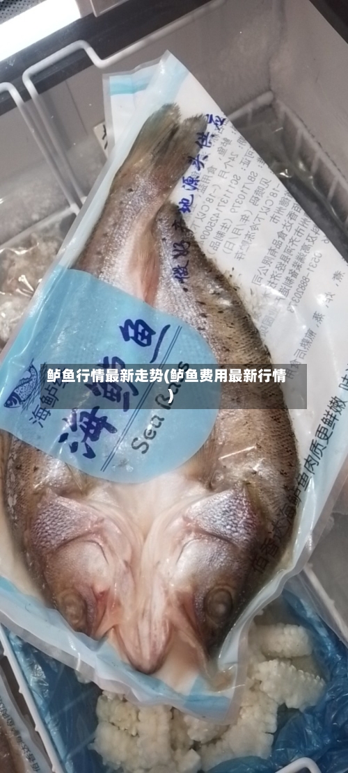 鲈鱼行情最新走势(鲈鱼费用最新行情)