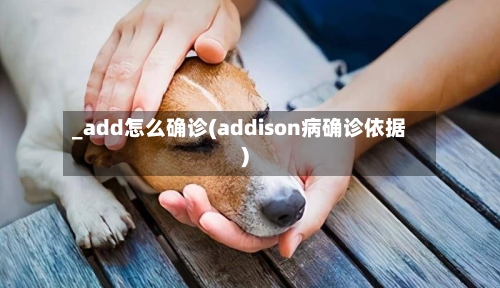 _add怎么确诊(addison病确诊依据)