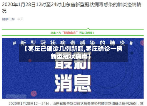 【枣庄已确诊几例新冠,枣庄确诊一例新型冠状病毒】-第2张图片