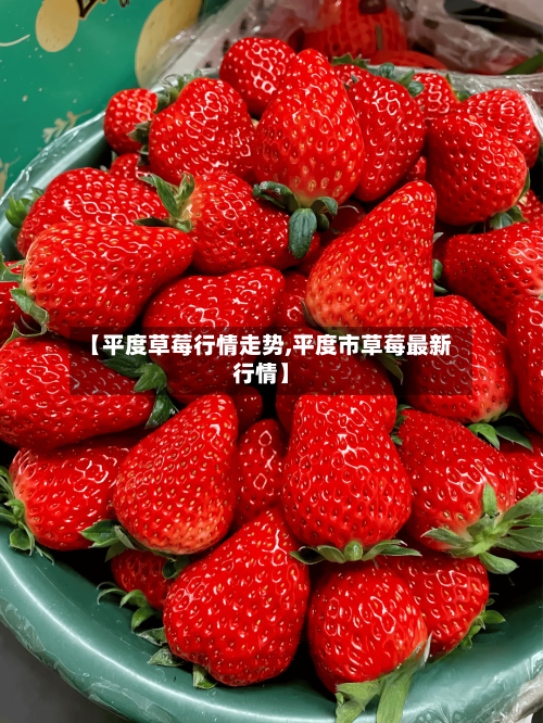 【平度草莓行情走势,平度市草莓最新行情】