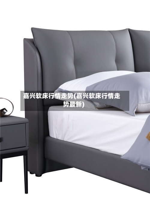 嘉兴软床行情走势(嘉兴软床行情走势最新)