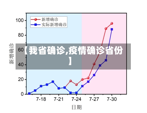 【我省确诊,疫情确诊省份】-第3张图片
