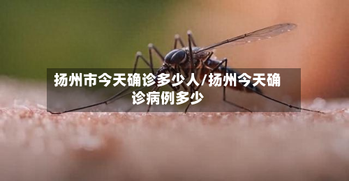 扬州市今天确诊多少人/扬州今天确诊病例多少-第2张图片