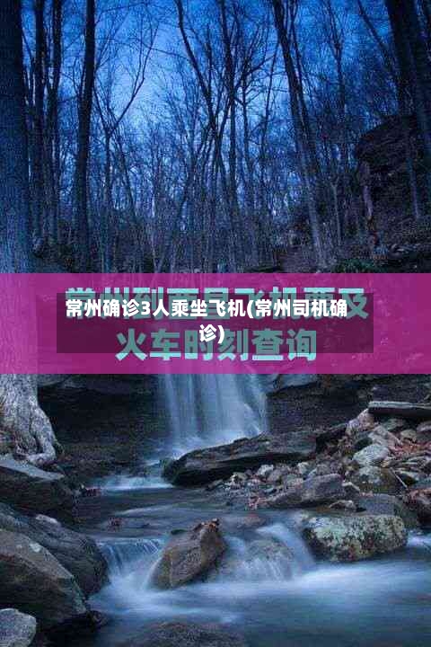 常州确诊3人乘坐飞机(常州司机确诊)-第2张图片
