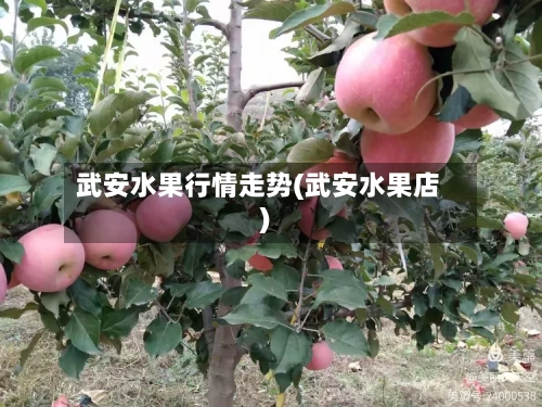 武安水果行情走势(武安水果店)-第3张图片