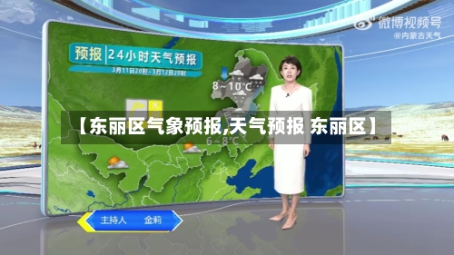 【东丽区气象预报,天气预报 东丽区】-第2张图片