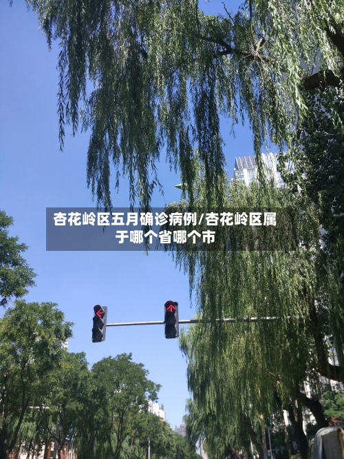 杏花岭区五月确诊病例/杏花岭区属于哪个省哪个市-第2张图片