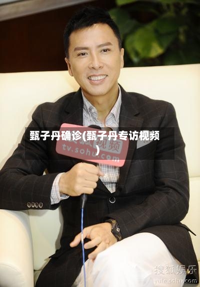 甄子丹确诊(甄子丹专访视频)-第2张图片