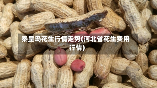 秦皇岛花生行情走势(河北省花生费用行情)-第3张图片