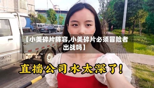 【小美碎片阵容,小美碎片必须冒险者出战吗】