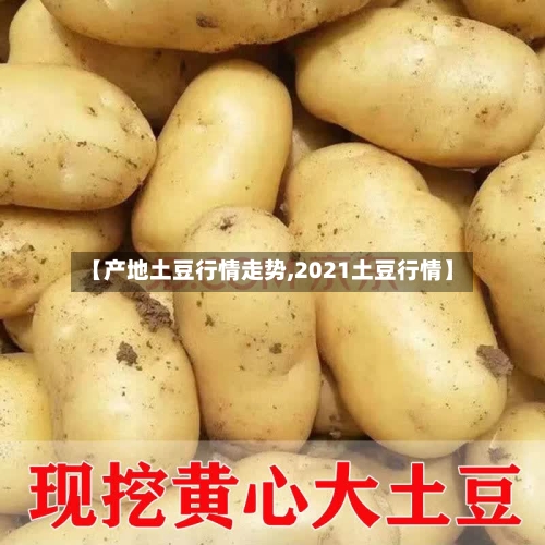 【产地土豆行情走势,2021土豆行情】-第3张图片