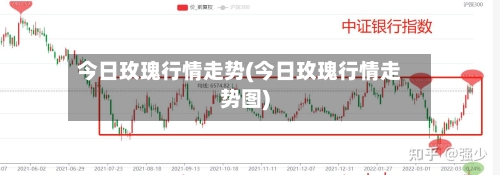 今日玫瑰行情走势(今日玫瑰行情走势图)