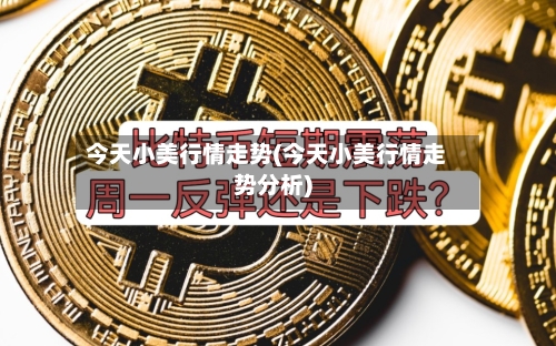 今天小美行情走势(今天小美行情走势分析)