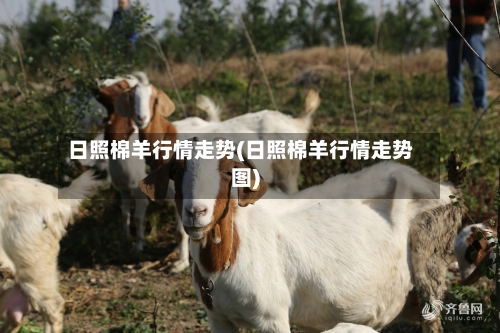 日照棉羊行情走势(日照棉羊行情走势图)-第2张图片
