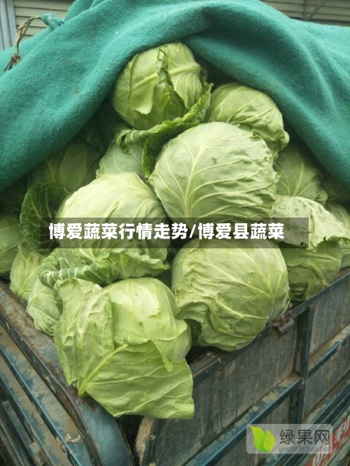 博爱蔬菜行情走势/博爱县蔬菜-第2张图片