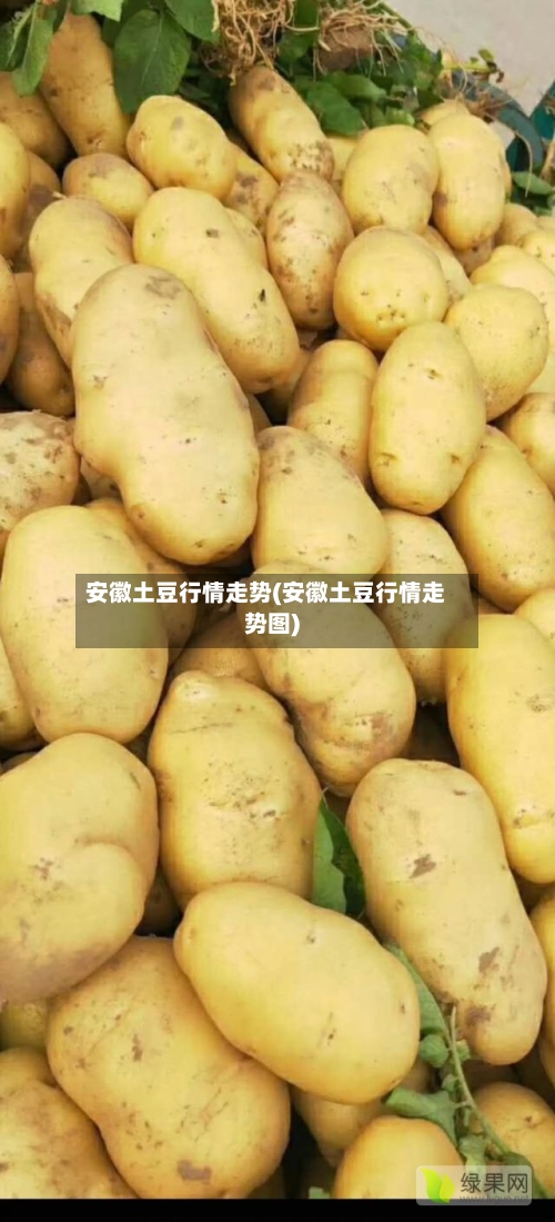 安徽土豆行情走势(安徽土豆行情走势图)