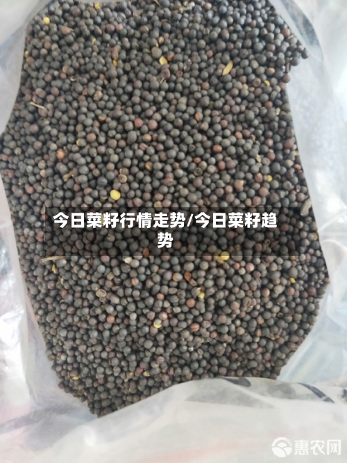 今日菜籽行情走势/今日菜籽趋势-第2张图片