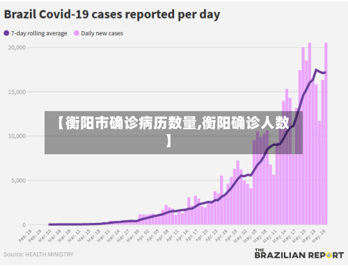 【衡阳市确诊病历数量,衡阳确诊人数】
