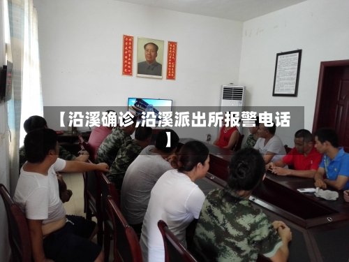 【沿溪确诊,沿溪派出所报警电话】