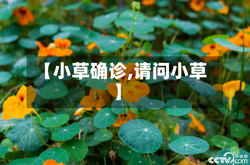 【小草确诊,请问小草】