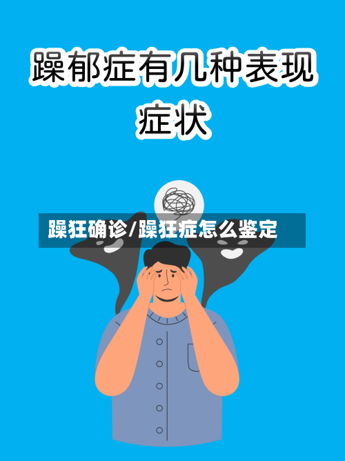 躁狂确诊/躁狂症怎么鉴定-第3张图片