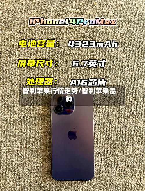 智利苹果行情走势/智利苹果品种-第2张图片