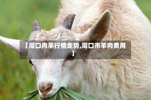 【周口肉羊行情走势,周口市羊肉费用】