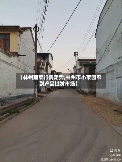 【林州蔬菜行情走势,林州市小菜园农副产品批发市场】-第2张图片