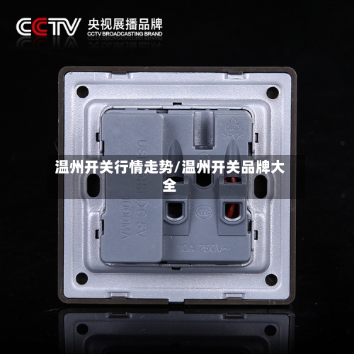 温州开关行情走势/温州开关品牌大全-第2张图片