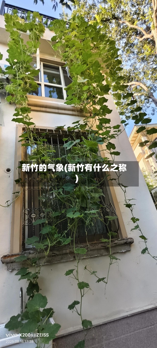 新竹的气象(新竹有什么之称)