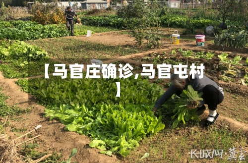 【马官庄确诊,马官屯村】-第2张图片