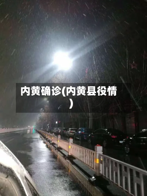 内黄确诊(内黄县役情)