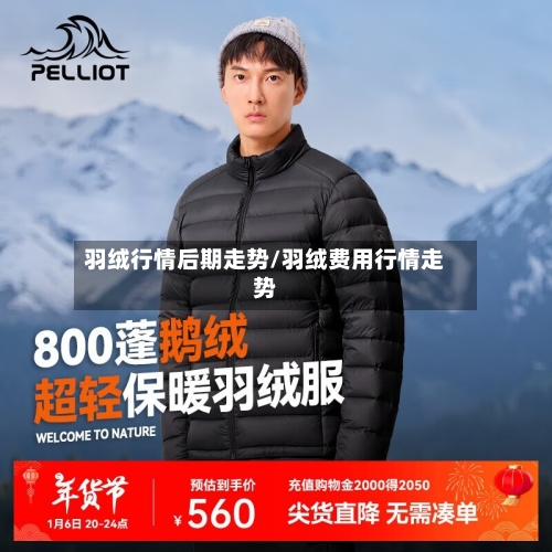 羽绒行情后期走势/羽绒费用行情走势