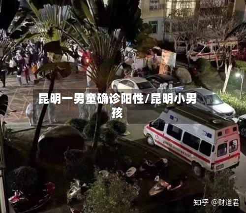 昆明一男童确诊阳性/昆明小男孩-第2张图片