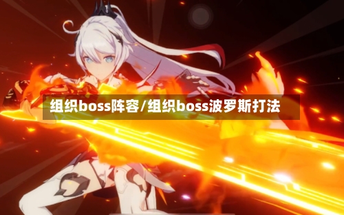 组织boss阵容/组织boss波罗斯打法