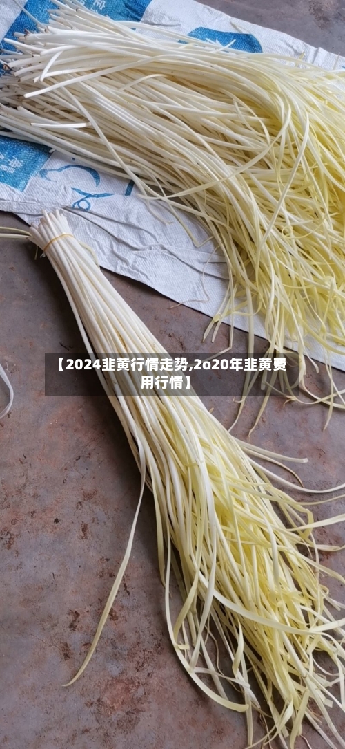 【2024韭黄行情走势,2o20年韭黄费用行情】-第2张图片
