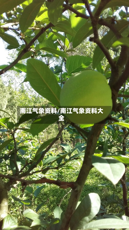 南江气象资料/南江气象资料大全-第2张图片