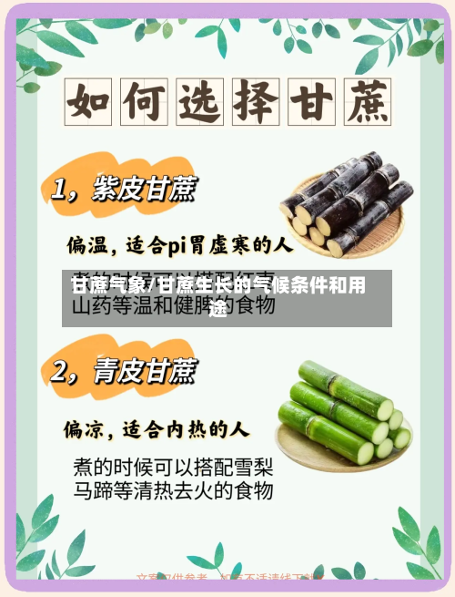 甘蔗气象/甘蔗生长的气候条件和用途-第3张图片