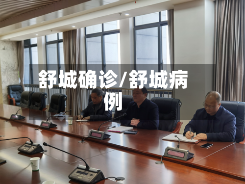 舒城确诊/舒城病例