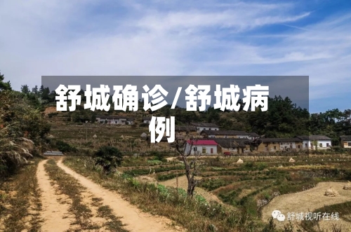 舒城确诊/舒城病例-第3张图片