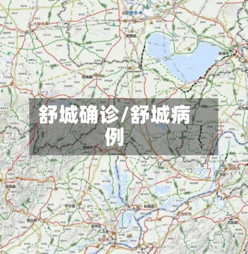 舒城确诊/舒城病例-第2张图片