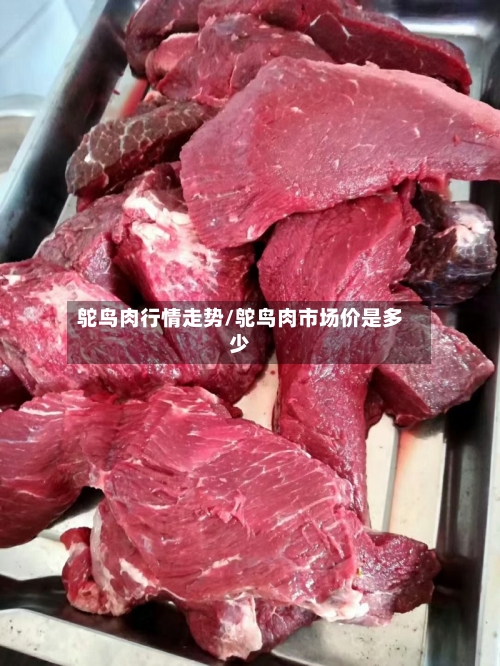 鸵鸟肉行情走势/鸵鸟肉市场价是多少