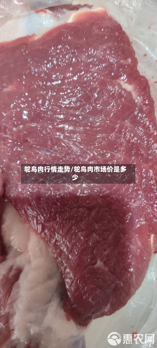 鸵鸟肉行情走势/鸵鸟肉市场价是多少-第2张图片