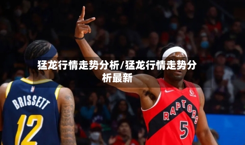 猛龙行情走势分析/猛龙行情走势分析最新-第3张图片