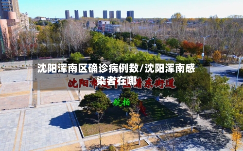 沈阳浑南区确诊病例数/沈阳浑南感染者在哪